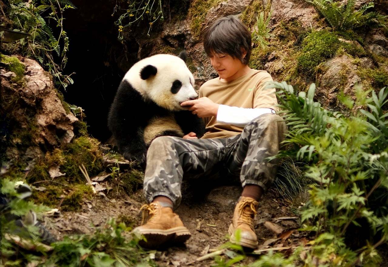 Moon der Panda